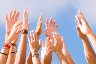 Educational Consultants Trusted by All